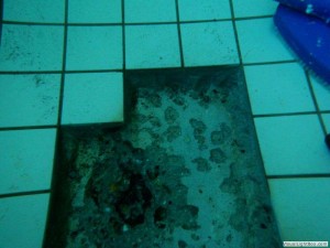 Verwijderen roestafzetting Orka zwembadreparatie